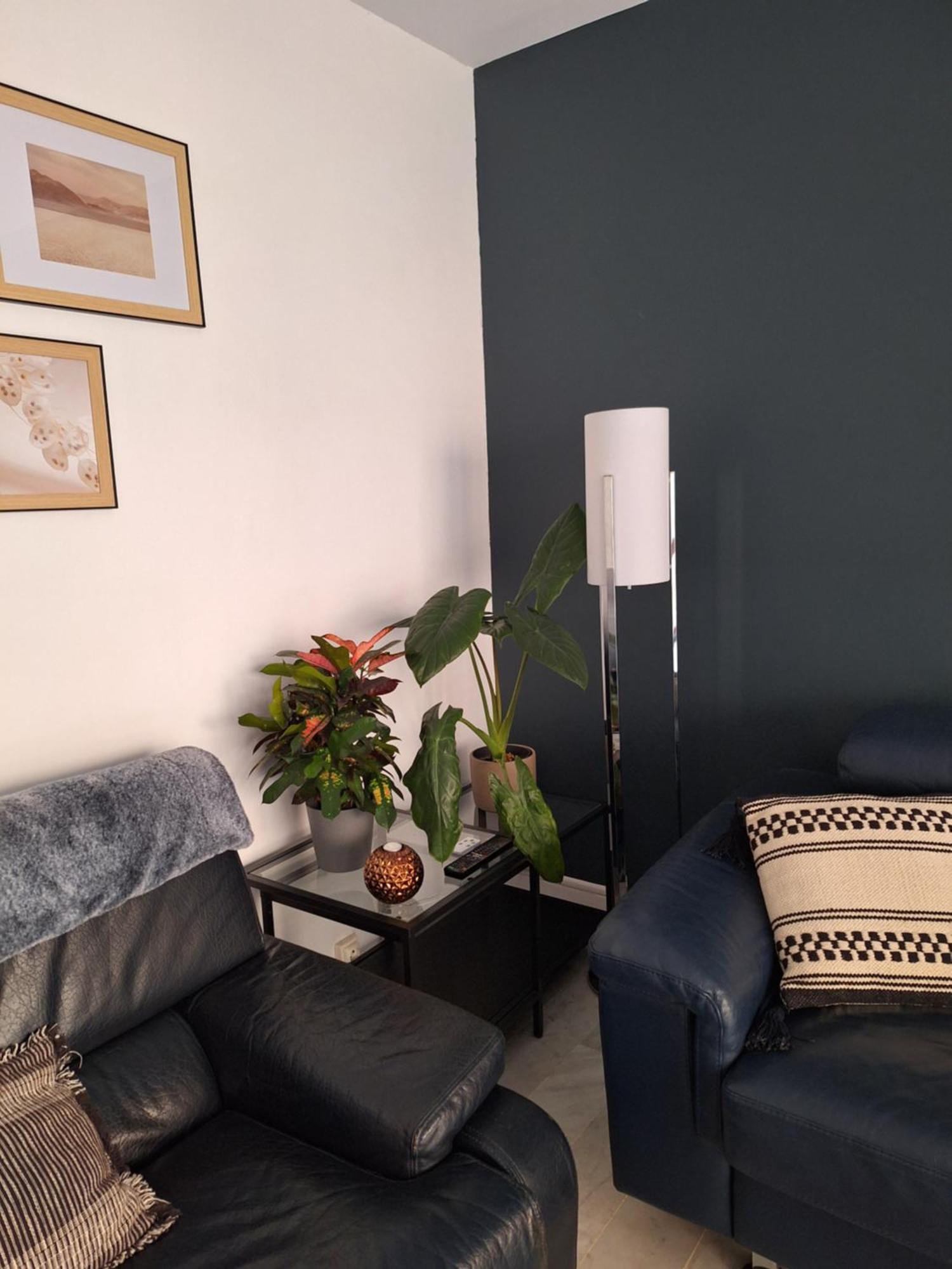 Appartement T3 Plein Centre Saint-Raphael  Ngoại thất bức ảnh